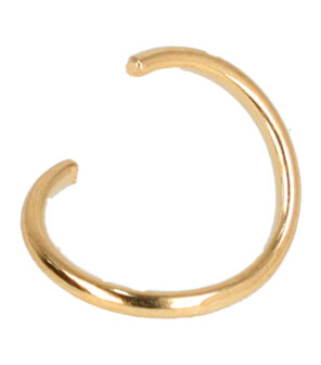 Haarringen Basic 20 Stuks Goud