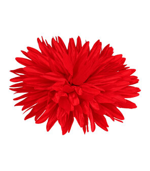 Duckklem Bloem Aster 12cm Rood