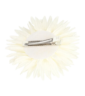 Duckklem Bloem Aster 12cm Creme