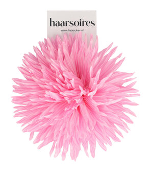 Duckklem Bloem Aster 12cm Licht Roze