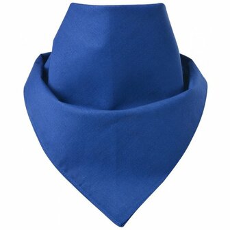 Bandana Zakdoek Basic Blauw