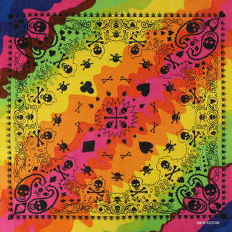 Haarband Bandana Zakdoek Paisley Regenboog Scull Print Multi Color