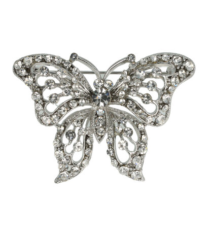 haarbroche-vlinder-strass-steentjes-zilver