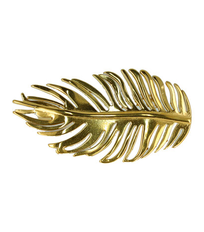 haarbroche-veer-goud