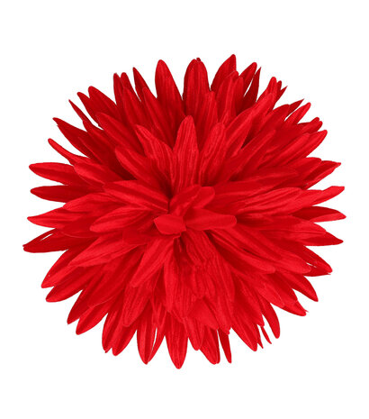 Duckklem Bloem Aster 12cm Rood