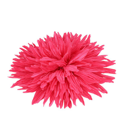 Duckklem Bloem Aster 12cm Fuchsia Roze