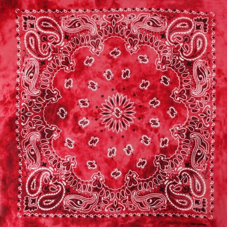 Haarband Bandana Zakdoek Tie Dye Paisley Print Rood