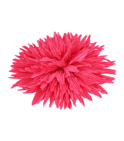 Duckklem Bloem Aster 12cm Fuchsia Roze